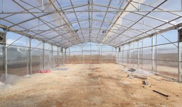 Şanlıurfa’da sebze ve meyve kurutma tesisi