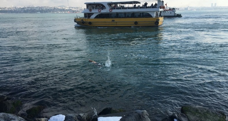 Sarayburnu Sahili’nde karda deniz ve sucuk keyfi