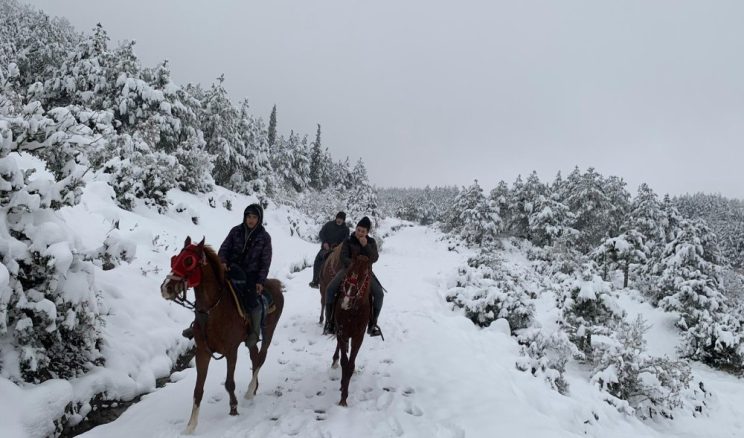 Sındırgı’da kar keyfini atlarla sürdüler