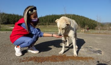Sokağa çıkma kısıtlamasında dağdaki hayvanları besleyip çöp topladılar