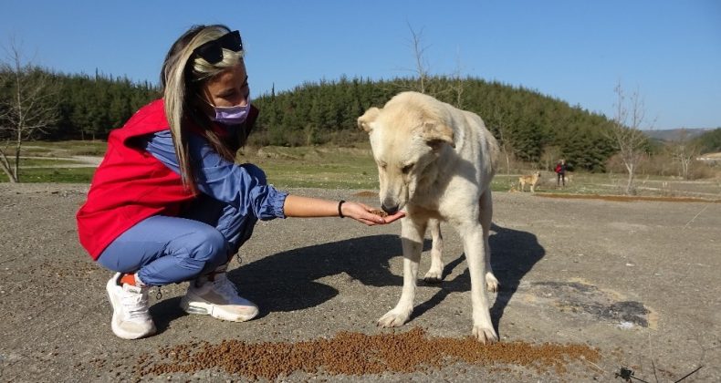 Sokağa çıkma kısıtlamasında dağdaki hayvanları besleyip çöp topladılar