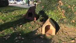 Sokak hayvanları için 20 yeni kulübe