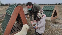 Sokak hayvanlarını besleme çalışmaları sürüyor