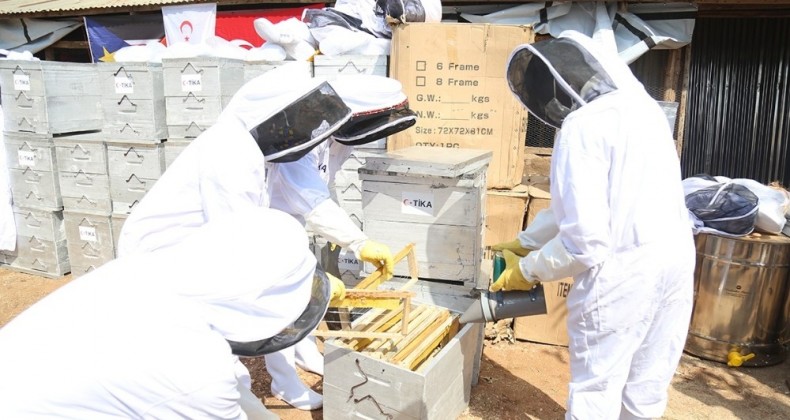 TİKA’dan Güney Sudanlı çiftçilere destek