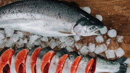 Türk Somonu’nun pandemiye rağmen ihracat rakamları sevindirdi