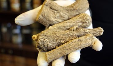 Yeryüzünün en güçlü antibiyotiği: ’Udi hindi’