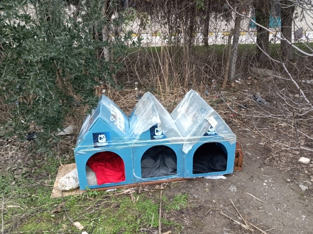 Yunusemre Belediyesi soğuk kış günlerinde sokak hayvanlarını unutmadı